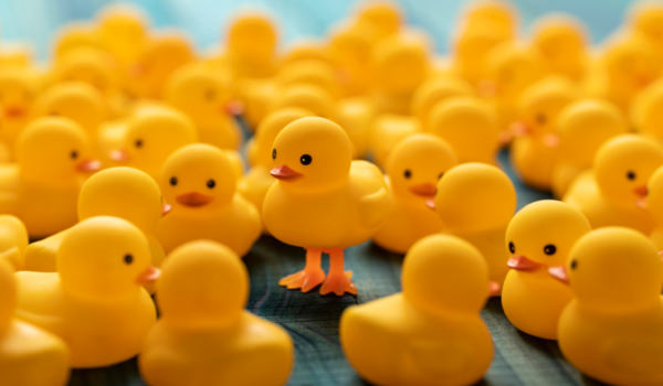 One different yellow rubber duck standing on legs out from the crowd stands above a crowd of other normal yellow rubber ducks
