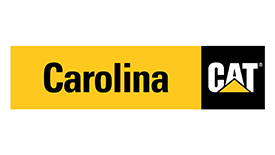 Carolina-cat-275
